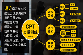 完整的课程体系